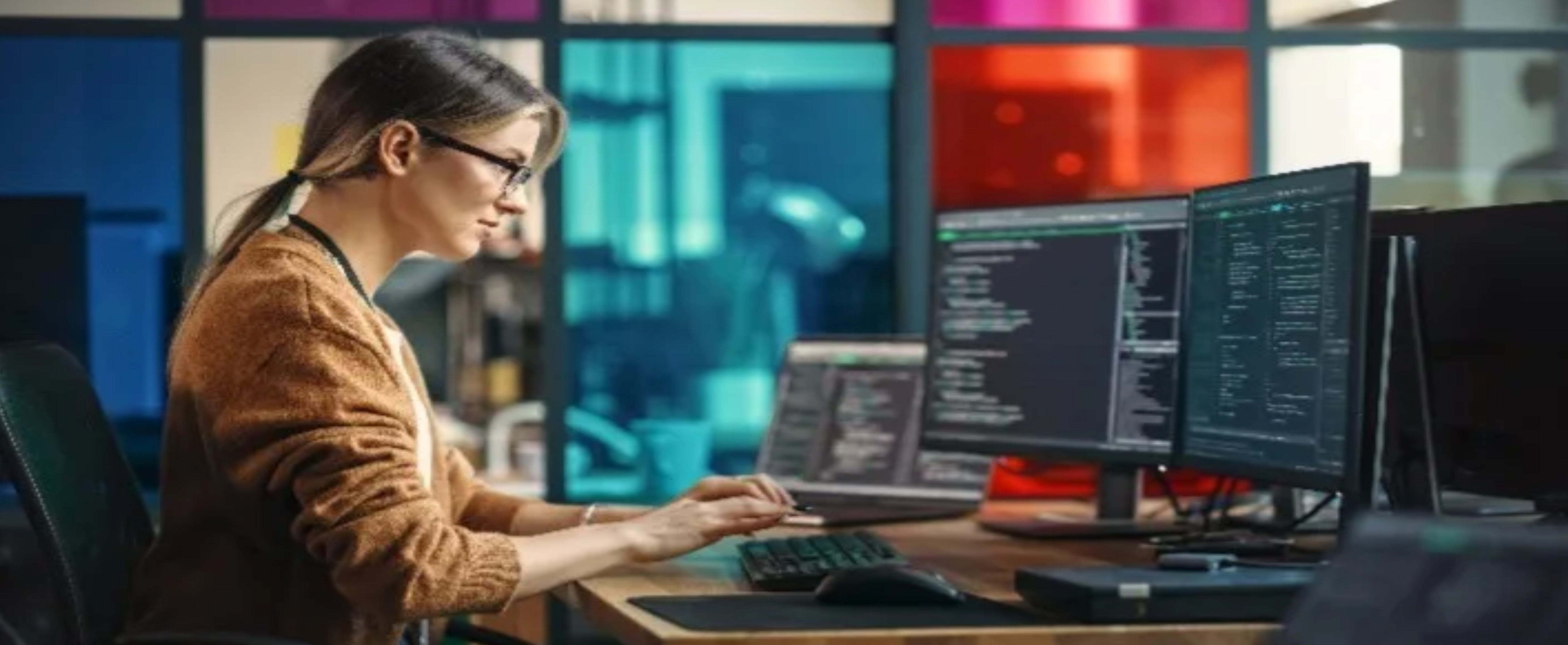 Software Development Banner